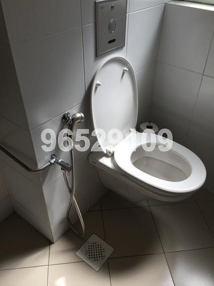 Lorong Telok (D1), Shop House #141763342